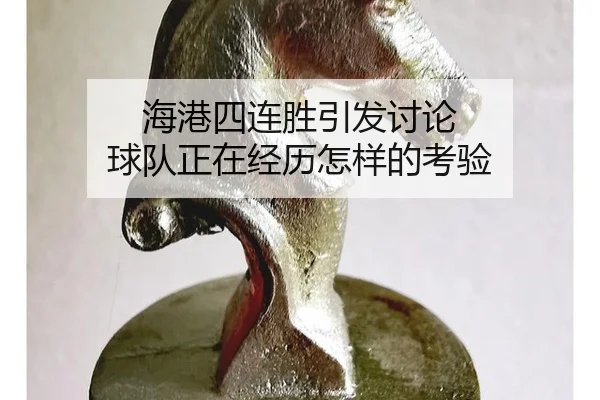 hai-gang-si-lian-sheng-yin-fa-tao-lun-qiu-dui-zheng-zai-jing-li-zen-yang-de-kao-yan-2-826.jpg